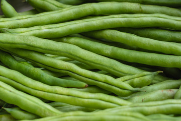 fresh green beans