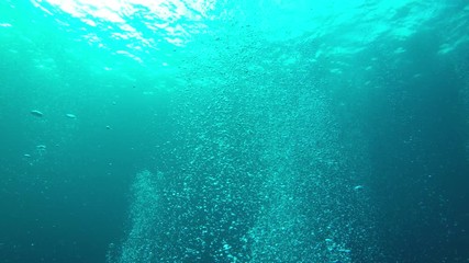 Poster - Underwater bubbles in blue sea video