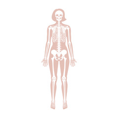 Sticker - Woman skeleton anatomy