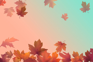 Wall Mural - autumn leaves background