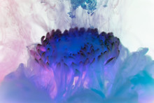 Abstract Blue Color Drop To The Water Flower Shape