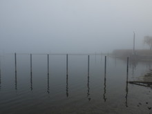 View Of Wooden Posts In Foggy Weather