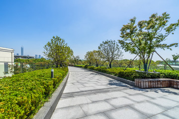 Wall Mural - beautiful park at a sunny day