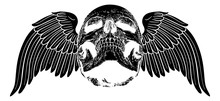 A Winged Skull Graphic. Original Illustration In A Vintage Engraving Woodcut Etching Style.