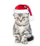 Fototapeta Koty - Cute tabby kitten wearing a red christmas hat sits in front view. isolated on white background