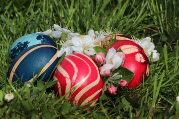 Wall Mural - Easter eggs colorful painted on grass background