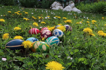 Wall Mural - Easter eggs colorful painted on grass background
