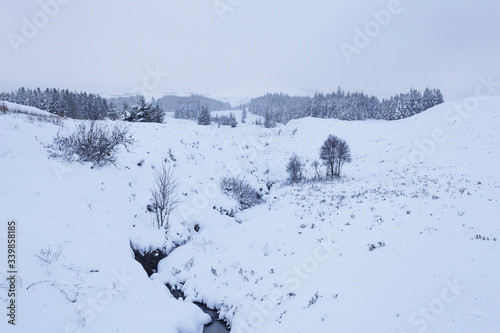 Snow covered trees in Glen Garry, Scottish Highlands, UK. Tableau sur Toile