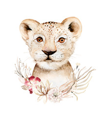 Wall Mural - Africa watercolor savanna lion, animal illustration. African Safari wild cat cute exotic animals face portrait character. Isolated on white poster design