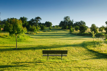 park bench tucked into the bushes off of the walking trail