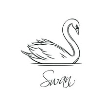 Swans Outline Icon.