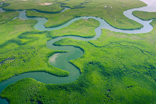 Aerial View Of Amazon Rainforest In Brazil, South America. Green Forest. Bird's-eye View.