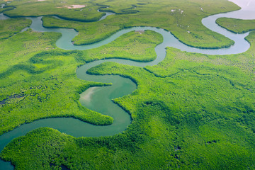 Sticker - Aerial view of Amazon rainforest in Brazil, South America. Green forest. Bird's-eye view.