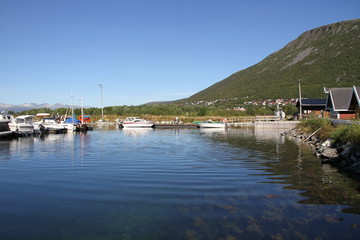 bird birds cormorants tromso tromsø  water travel tourism sea coast nature port blue landscape sky harbor architecture europe boatship mountain summer bay view city beautifull and mark mediterranean v