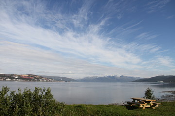 Wall Mural - bird birds cormorants tromso tromsø  water travel tourism sea coast nature port blue landscape sky harbor architecture europe boatship mountain summer bay view city beautifull and mark mediterranean 