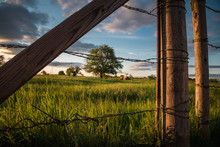 Texas Ranch And Tractor Seen Through Barbed Wire Fence At Sunset