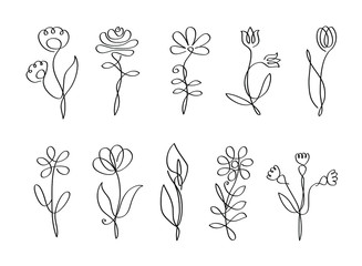 Wall Mural - Vector isolated flowers line art, flowers with one line, floral set, collection of black flowers isolated on white background, line illustration