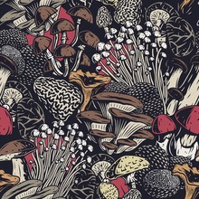 Autumn Forest Mushroom Set And Seamless Pattern