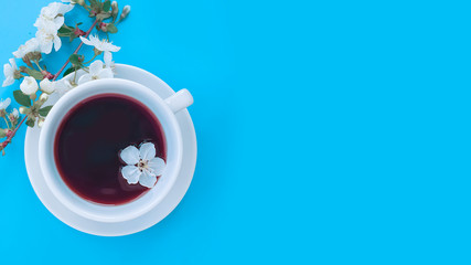 Wall Mural - Blooming cherry, a cup of coffee on a colored background