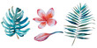 Tropical watercolor set with tropical leaves and flowers. 