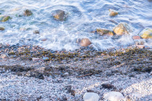 Sea Shore With Stones And Waves