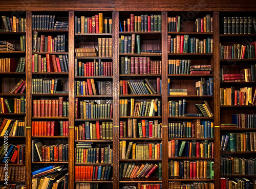 Fotomural Books on Shelves in Library or Study with Classic Dark Wood
