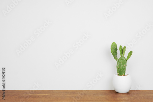 Cuadros en Lienzo Indoor prickly pear cactus plant in a white pot