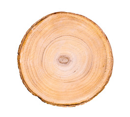 Wall Mural - Cut wood tree slice with natural edges rings on white with empty space