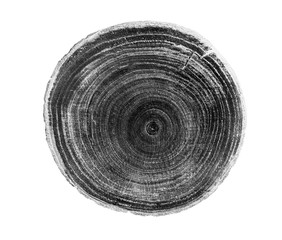 Wall Mural - Black and white wood texture stamp art. Detailed tree ring design. Rough organic tree rings end grain.