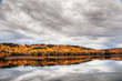 © Terry - Forest in autumn colour reflected in lake Ontario Canada