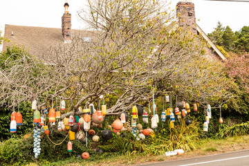 Wall Mural - Colorful nautical buoys hanging from a tree in front of a house