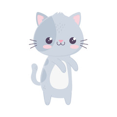 Wall Mural - kawaii cute cat mascot cartoon isolated icon