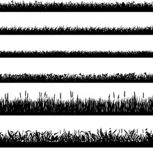 Grass Border Silhouettes. Black Grass Silhouettes, Natural Environment Herb Borders, Grass Panorama. Landscape Lawn Elements Isolated Symbols Set. Illustration Grass Border, Plant Summer Line