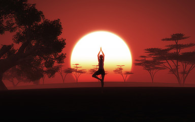 Wall Mural - 3d female in yoga pose in african landscape with sunset sky