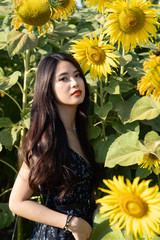 Wall Mural - asian cute young woman joyful, smiling with sunflowers background.