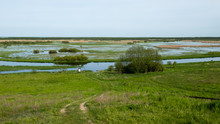 Large Wetland Area In Biebrza National Park Near Goniadz In Eastern Poland.