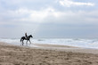 © emmapeel34 - young woman on a horse on the beach