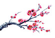 Wild plum meihua, watercolor illustration on white background, isolated. Flowering branch, traditional Chinese, oriental painting U-Shin.