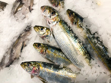 Top View Of Sardines Lying On Crushed Ice Close Up