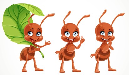 Cute cartoon ants think and tell about something  isolated on a white background