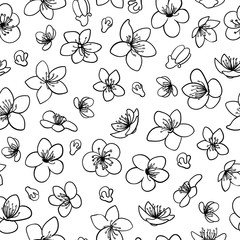 Wall Mural - Spring blossom flowers black line isolated vector seamless pattern