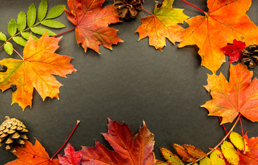 Autumn maple leaves over old wooden background with copy space