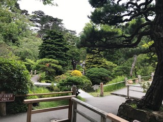  Beautiful, peaceful Japanese Garden with Zen