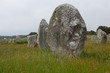 Menhirs from 