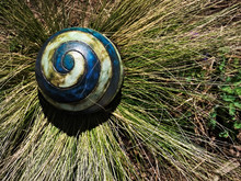 Decorated With A Blue And White Ball With A Spiral Pattern In The Long Grass