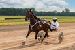 horse race at the racetrack, horses track, stallions run, a rider sits in a carriage