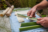 Fototapeta  - Papyrus paper artisan in Syracuse cutting the stem of a papyrus plant to obtain thin strips