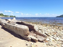 View Of Driftwood On Beach