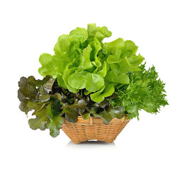 lettuce leaves isolated on white background.