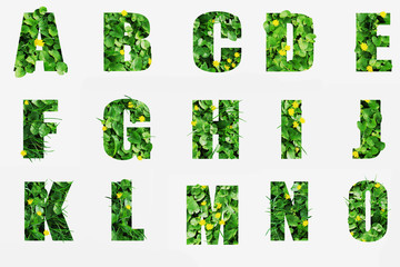 Wall Mural - Green vegetation forms letters with the effect of volume